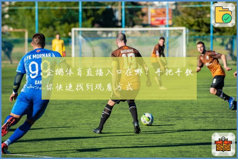企鹅体育直播入口在哪？手把手教你快速找到观看方式