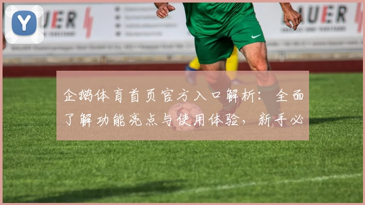 企鹅体育首页官方入口解析：全面了解功能亮点与使用体验，新手必看指南