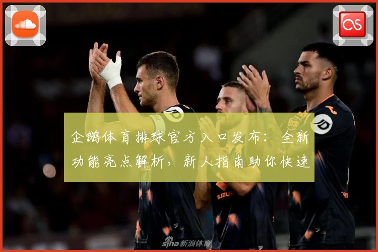 企鹅体育排球官方入口发布：全新功能亮点解析，新人指南助你快速上手
