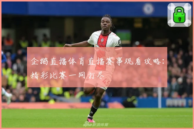 企鹅直播体育直播赛事观看攻略：精彩比赛一网打尽