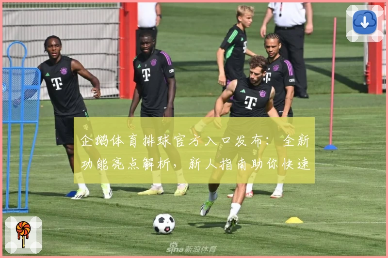 企鹅体育排球官方入口发布：全新功能亮点解析，新人指南助你快速上手