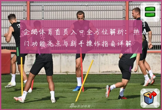 企鹅体育首页入口全方位解析：热门功能亮点与新手操作指南详解