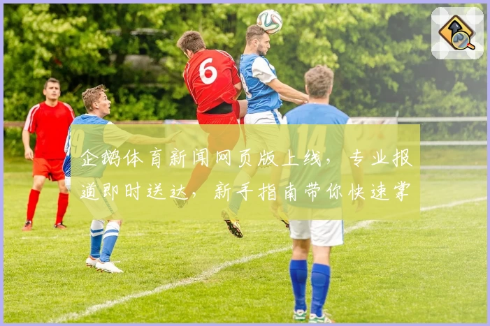 企鹅体育新闻网页版上线，专业报道即时送达，新手指南带你快速掌握
