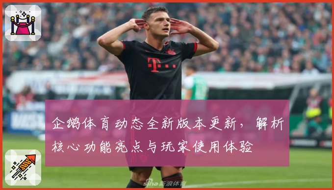 企鹅体育动态全新版本更新，解析核心功能亮点与玩家使用体验