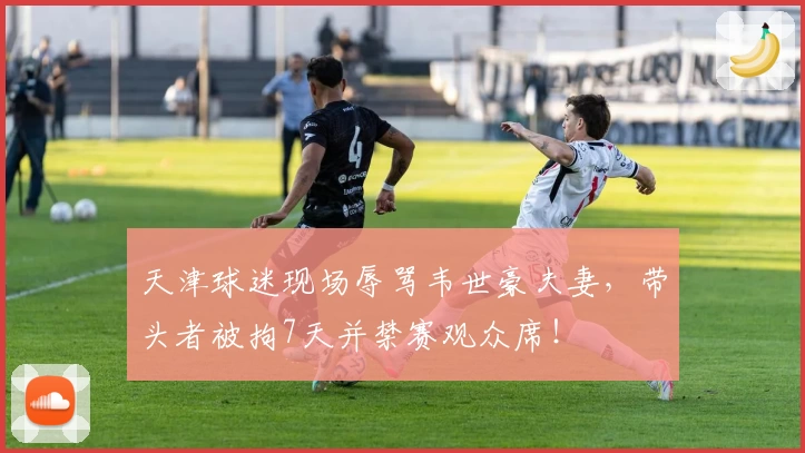 天津球迷现场辱骂韦世豪夫妻，带头者被拘7天并禁赛观众席！