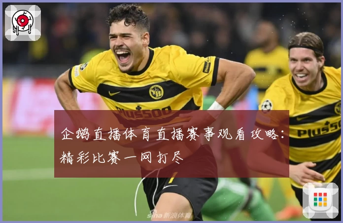 企鹅直播体育直播赛事观看攻略：精彩比赛一网打尽