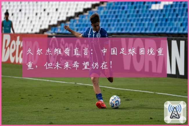 久尔杰维奇直言:中国足球困境重重,但未来希望仍在!