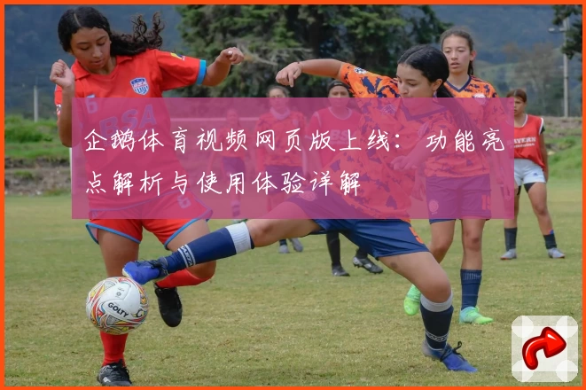企鹅体育视频网页版上线：功能亮点解析与使用体验详解