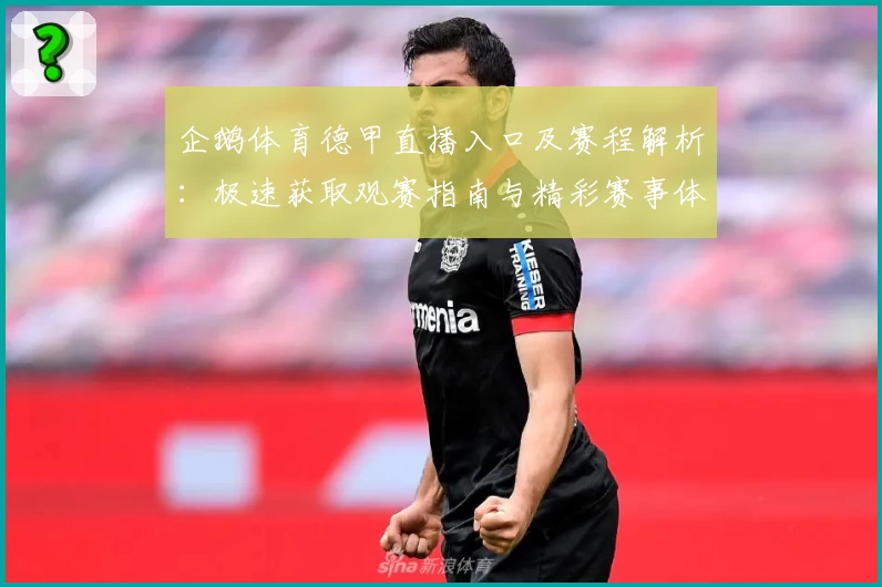 企鹅体育德甲直播入口及赛程解析：极速获取观赛指南与精彩赛事体验完整攻略